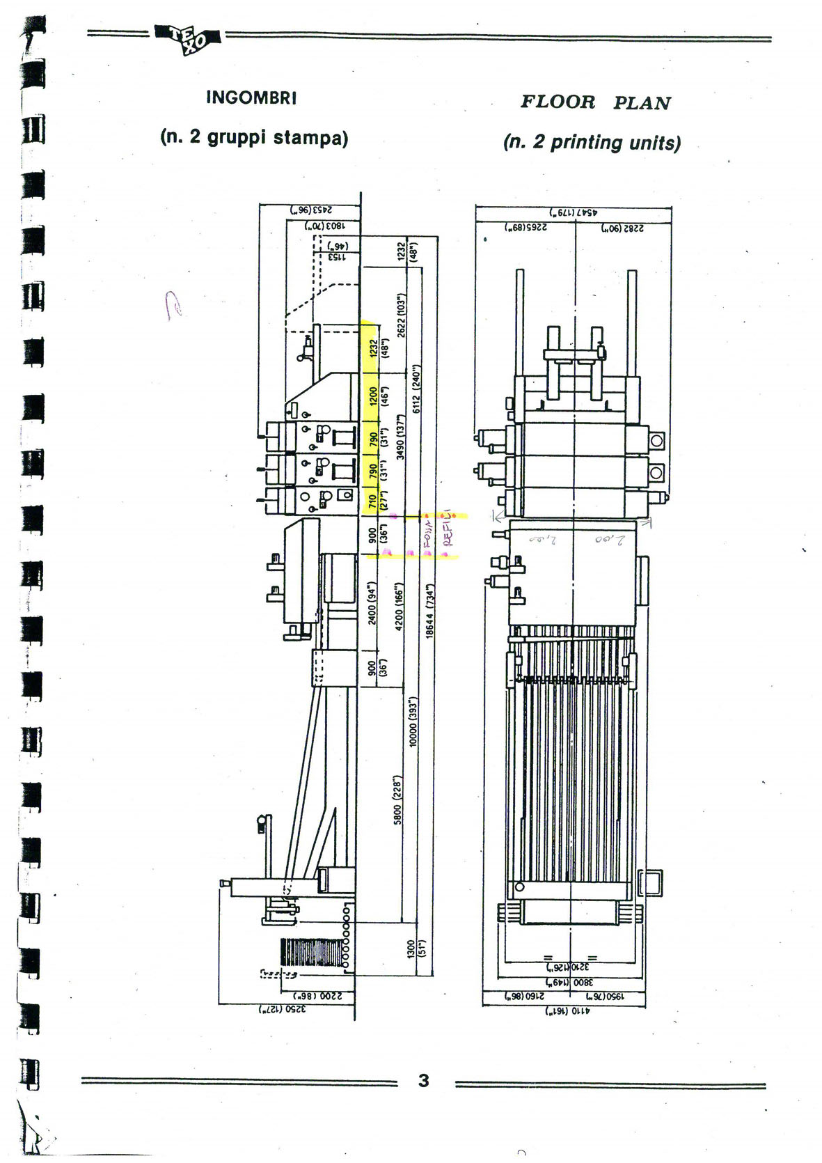 pianta texo 2 colori
